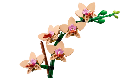 LEGO Icons 10343 Mini Orchid