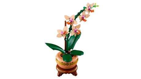 LEGO Icons 10343 Mini Orchid