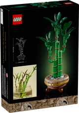 LEGO Icons 10344 Lucky Bamboo