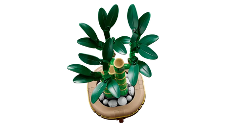 LEGO Icons 10344 Lucky Bamboo