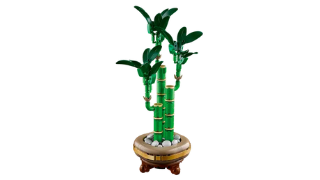 LEGO Icons 10344 Lucky Bamboo