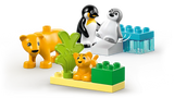 LEGO Duplo 10442 Wild Animal Families: Penguins & Lions