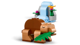 LEGO Classic 11041 Creative Dinosaurs