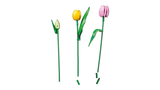LEGO Icons 11501 Tulip Bouquet