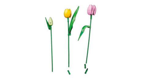 LEGO Icons 11501 Tulip Bouquet
