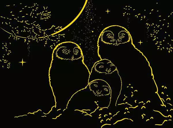 Owls in the Moonlight 500 Piece Jigsaw Puzzle