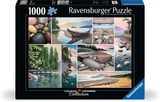 West Coast Tranquility 1000 Piece Jigsaw Puzzle