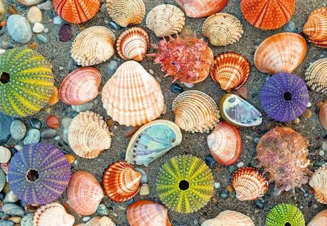 By The Seashore 300 Piece Jigsaw Puzzle