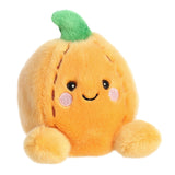 Jackie Pumpkin Palm Pal