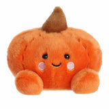 Paisley Pumpkin Palm Pal