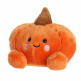 Paisley Pumpkin Palm Pal
