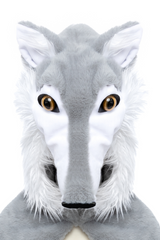 Woodland Storybook Wolf Cape, Size 4-6
