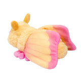 Rosy Maple Moth