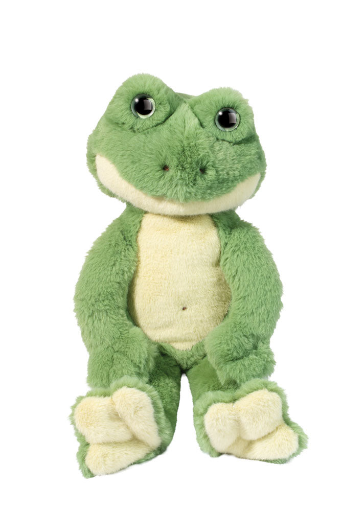 Floyd Floppy Frog