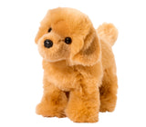 Chap Golden Retriever