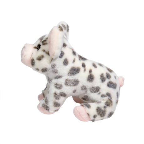 Pauline Black Spotted Pig