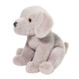 Argento Silver Lab Pup