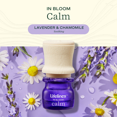 Lifelines Grounding Stone & Oil Set - Lavender & Chamomile