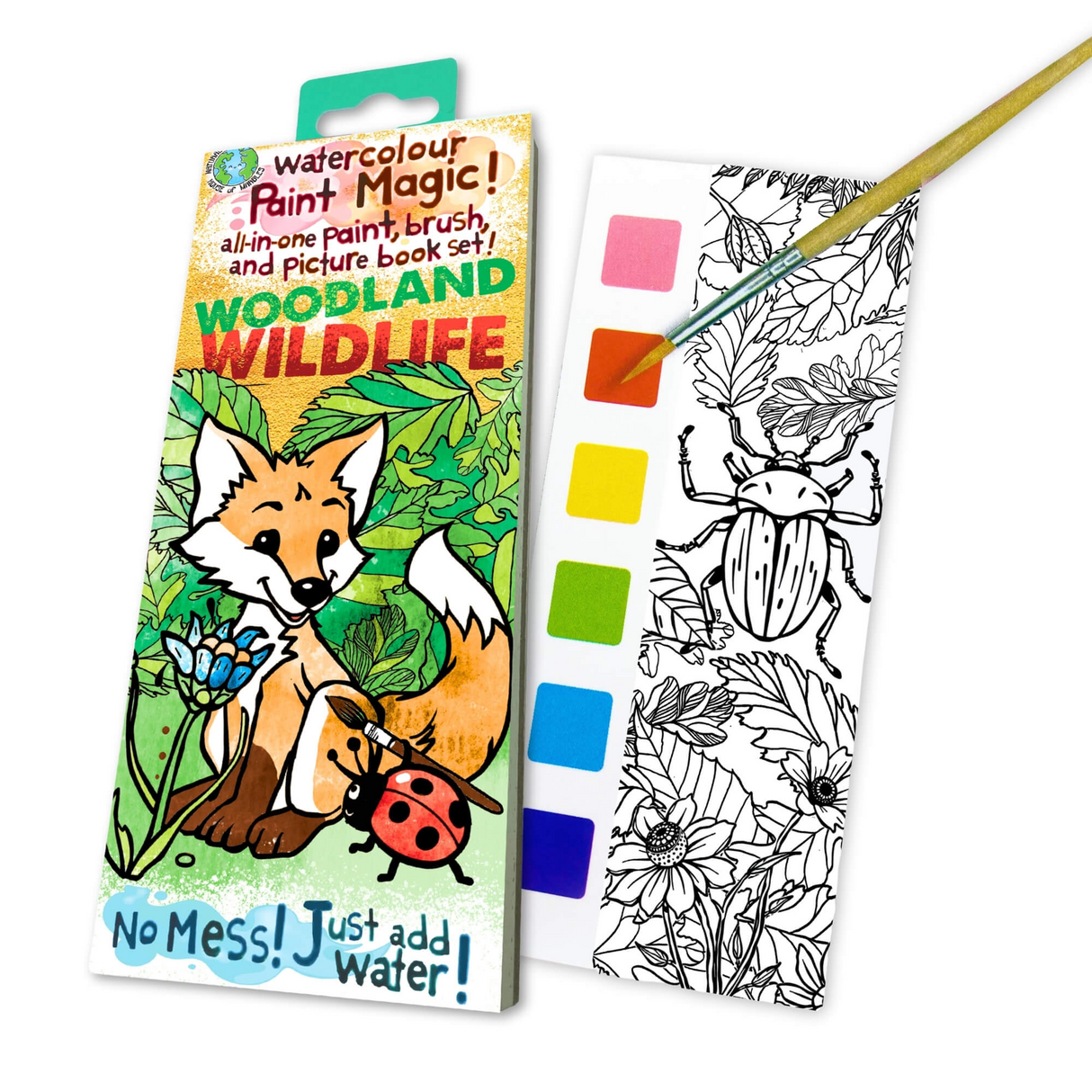 Paint Magic Woodland Wildlife