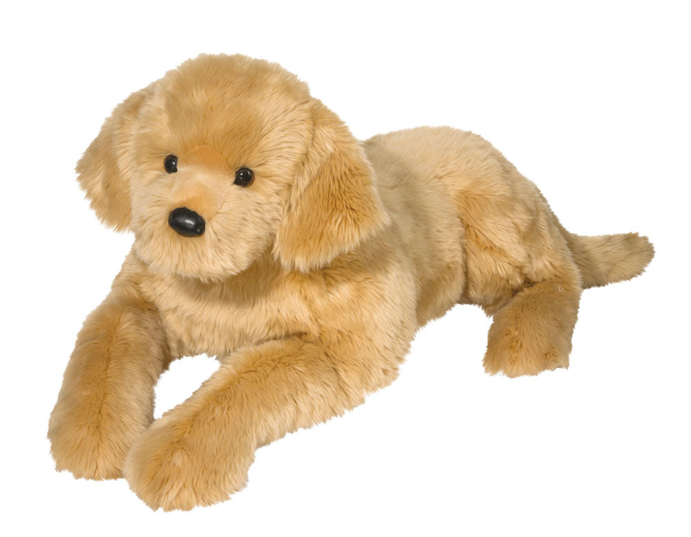 Sherman Golden Retriever