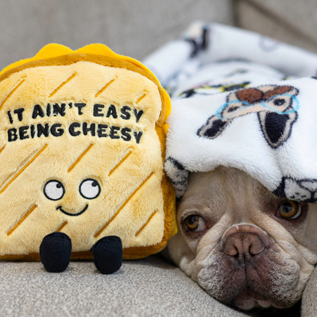 It Ain't Easy Being Cheesy Punchkin