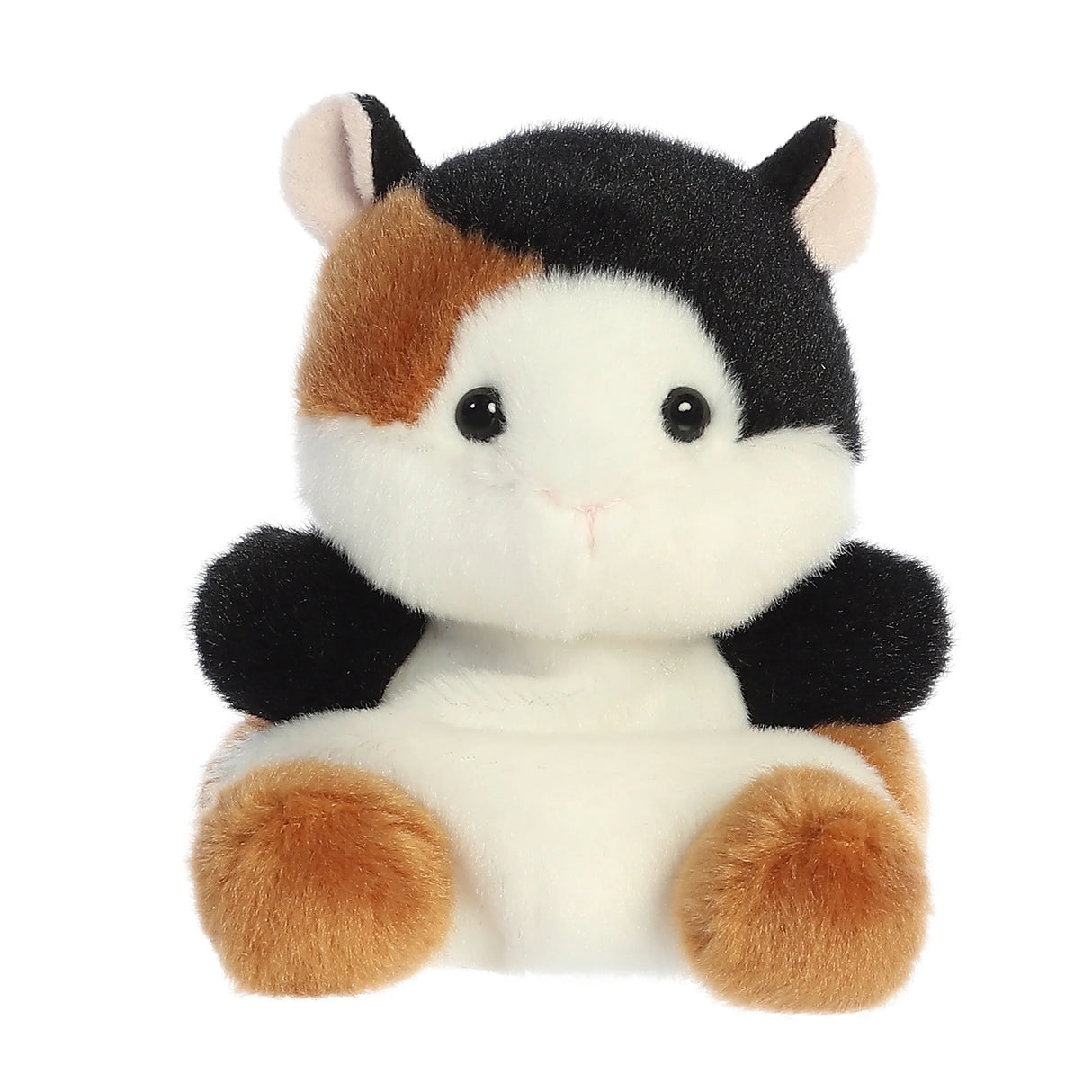 Nutmeg Guinea Pig Palm Pal