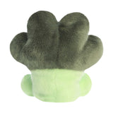 Luigi Broccoli Palm Pal