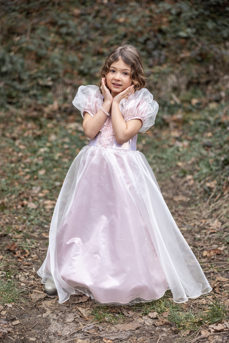Platinum Princess Gown 5-6