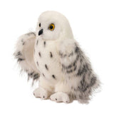 Wizard Snowy Owl