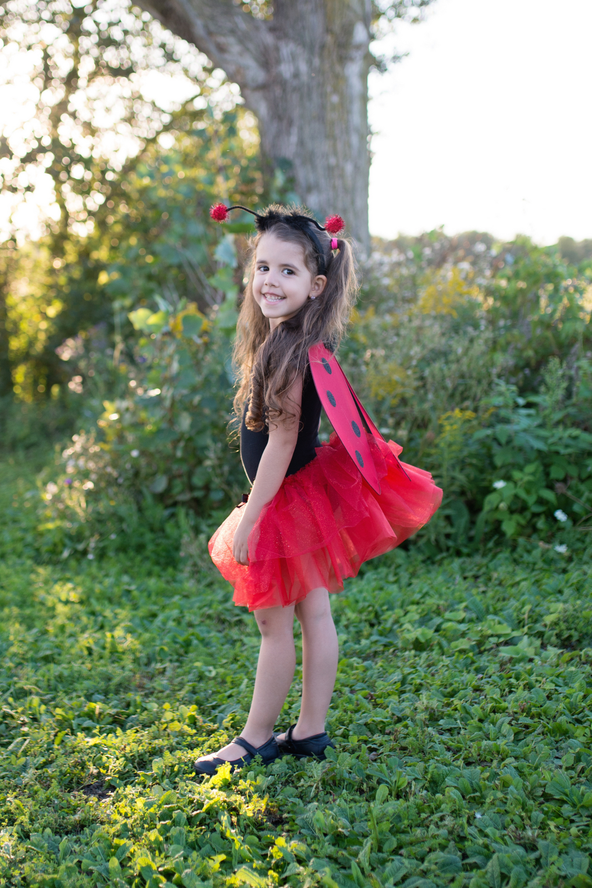 Glitter Ladybug Tutu With Wings & HB 4-6