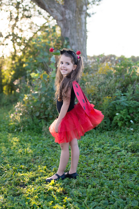 Glitter Ladybug Tutu With Wings & HB 4-6