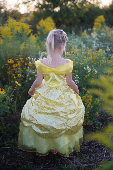 Deluxe Belle Gown Size 5/6