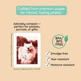 Print Pack 40 Prints For Model P2