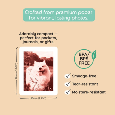 Print Pack 40 Prints For Model P2