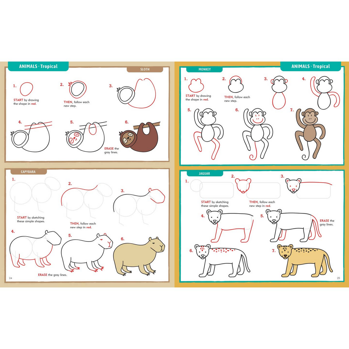 Learn To Draw . . . Everything!