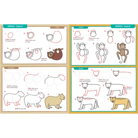 Learn To Draw . . . Everything!