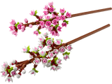 LEGO Flowers 40725 Cherry Blossoms