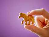 LEGO Friends 42654 Pony Ranch & Stable