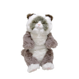Sunlemon Lap Cat Sleeping Ragdoll