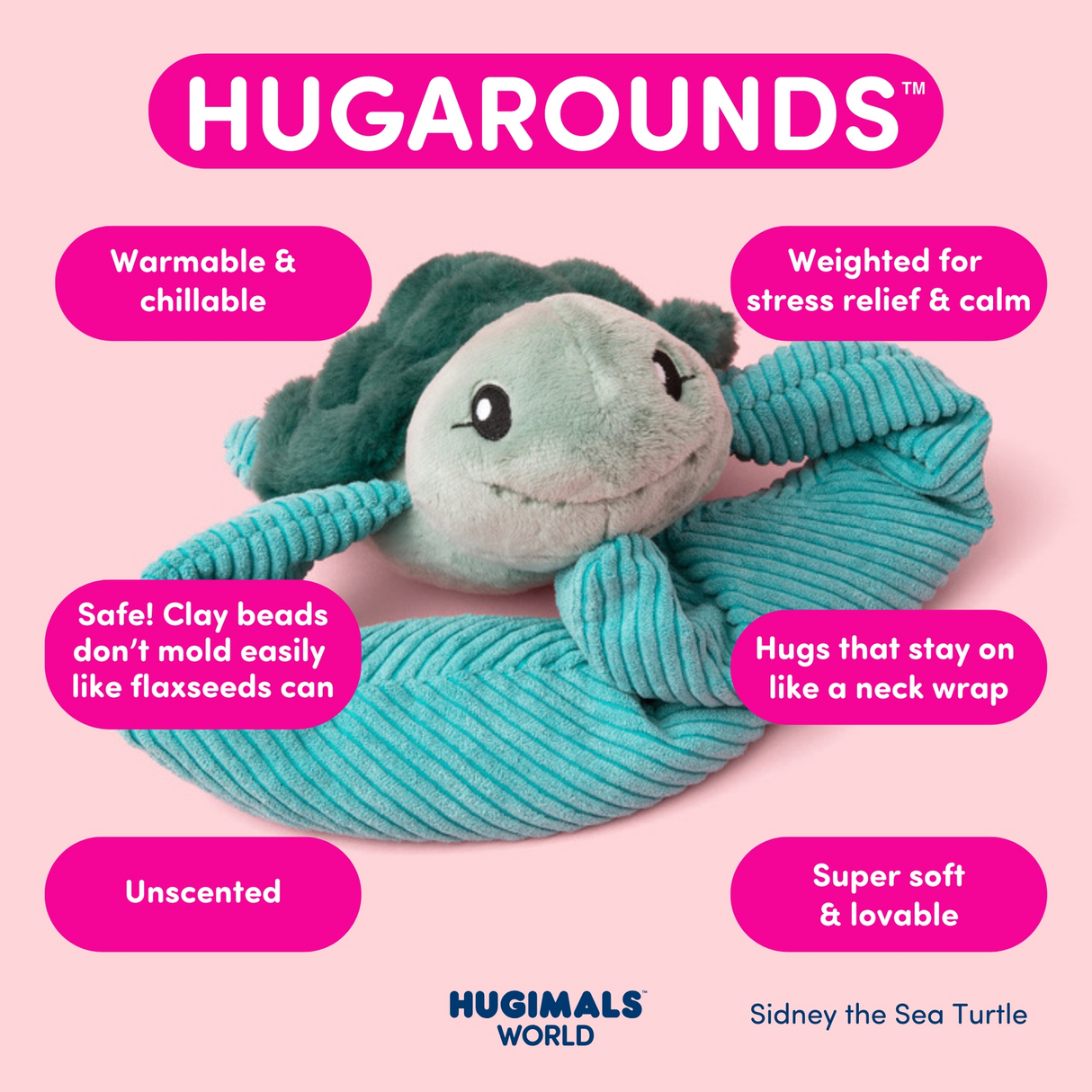 Sidney the Sea Turtle