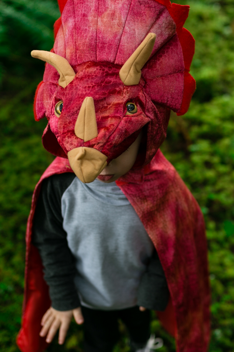 Triceratops Hooded Cape, Red, Size 4-5