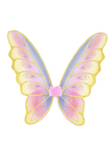 Glitter Rainbow Wings Set