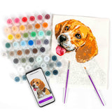 Paint Your Photo Pets Edition