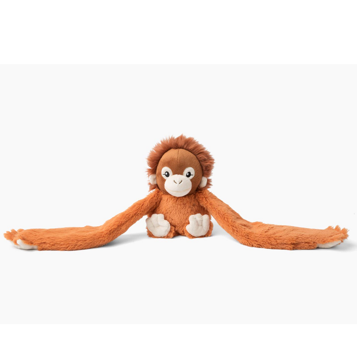 Ollie the Orangutan
