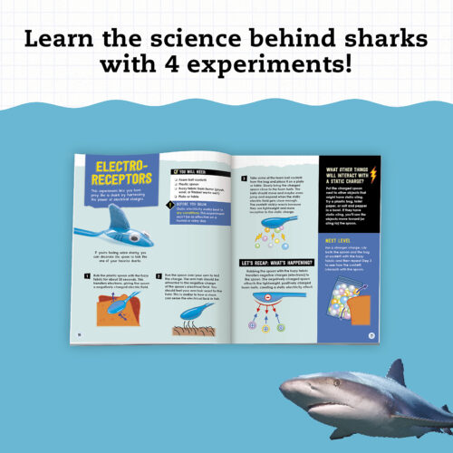 Klutz: Steam Lab: Shark-tastic Teeth!