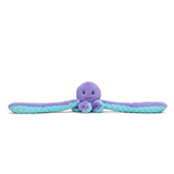 Indigo the Octopus