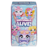 Hatchimals Alive Mystery Box