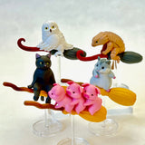 BC Mini Broomstick Animals Blind Box