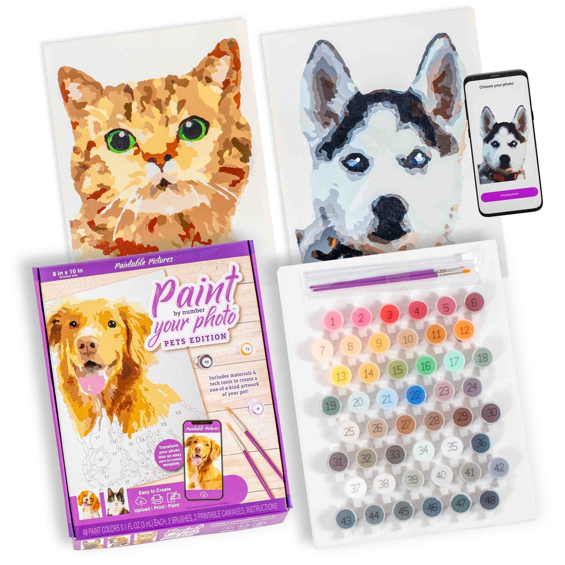Paint Your Photo Pets Edition