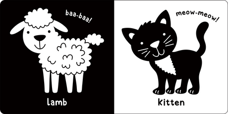 What Does Baby See - Baby Animals